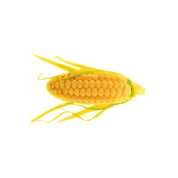 PANNOCCHIA 20-MOULE EN SILICONE N°12